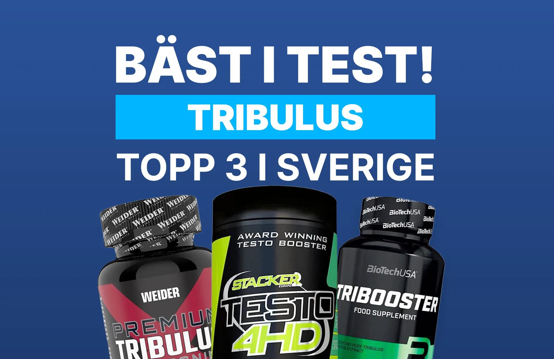 Bilden har ingen alt-text