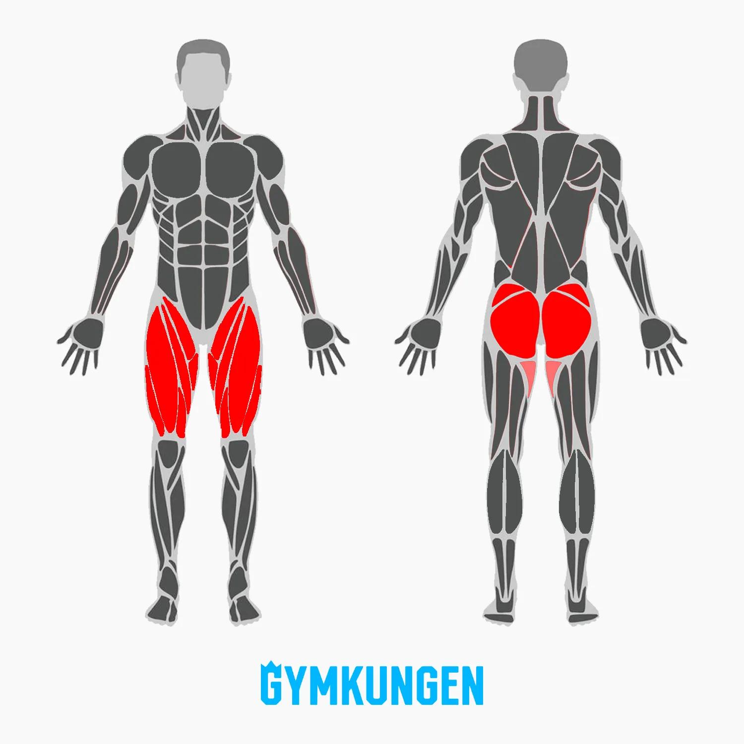 Muskler-som-tränas-vid-goblet-squat.webp