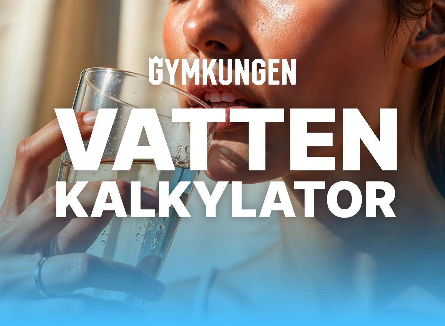 Bilden har ingen alt-text