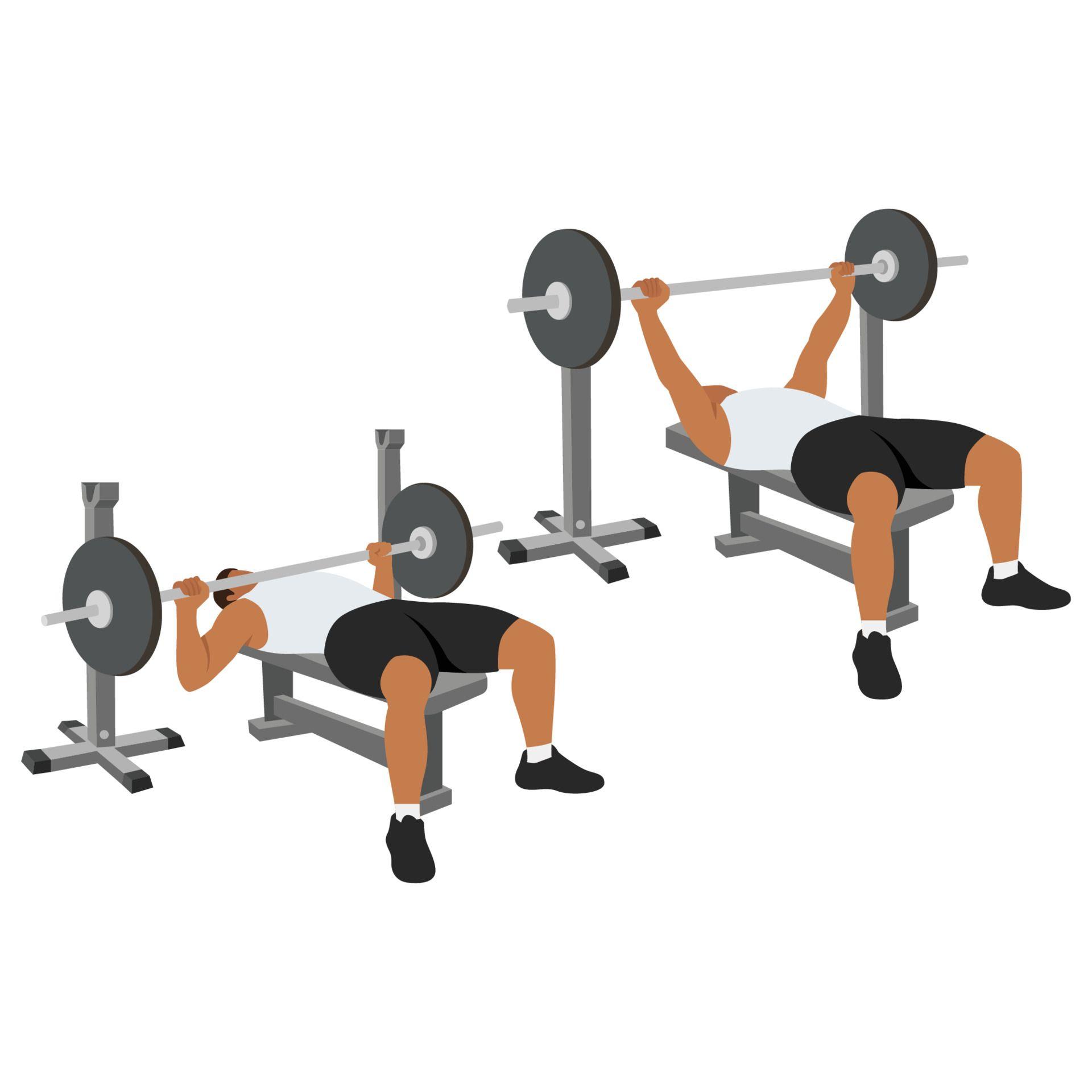 vecteezy_man-doing-barbell-bench-press-chest-press-flat-vector_15708459.jpg