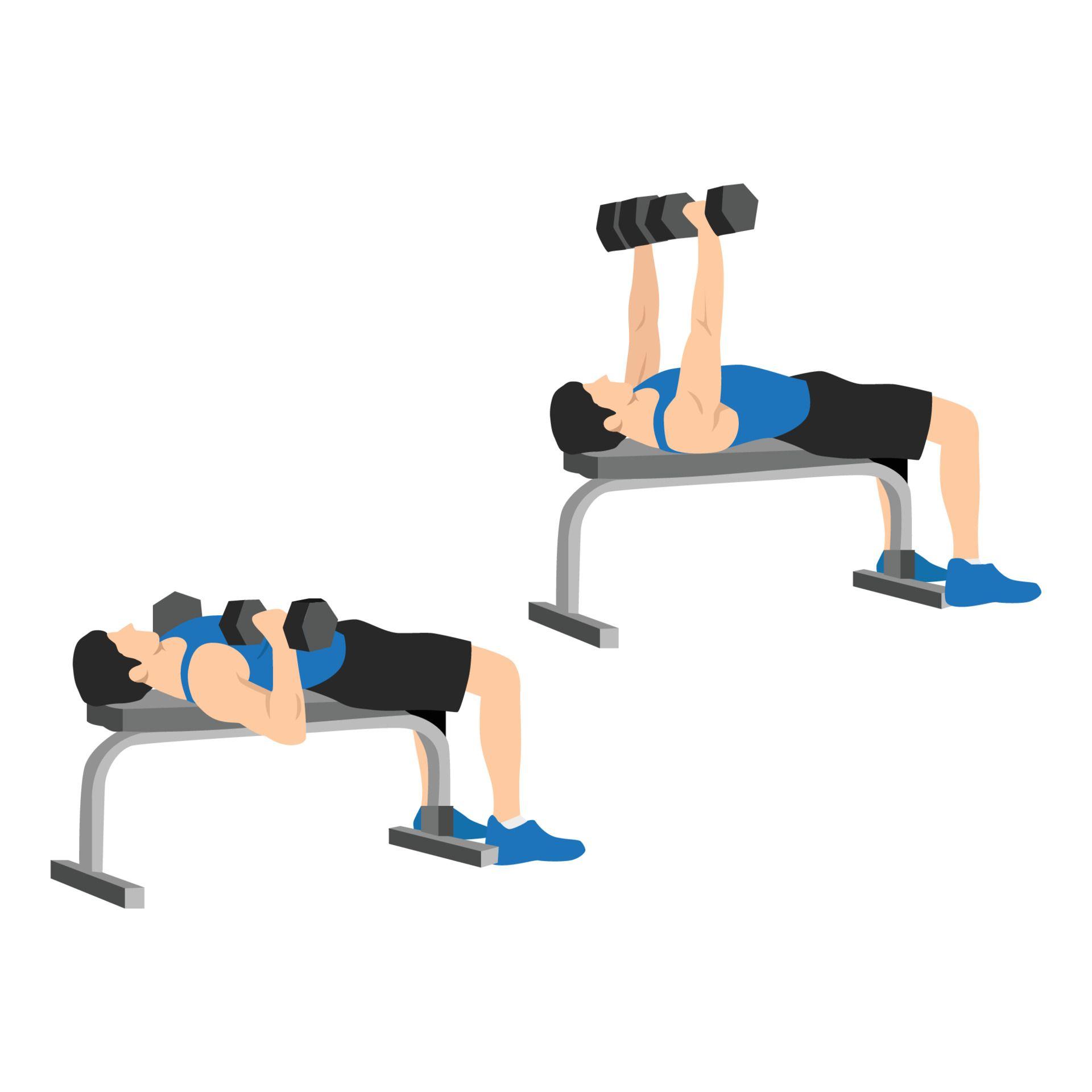 vecteezy_man-doing-dumbbell-flat-bench-press-chest-exercise-flat_8573022.jpg