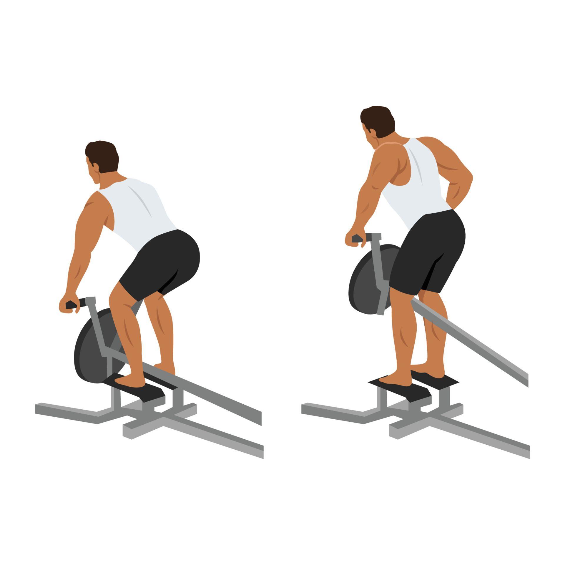 vecteezy_man-doing-one-arm-t-bar-rows-exercise-flat-vector_15708445.jpg