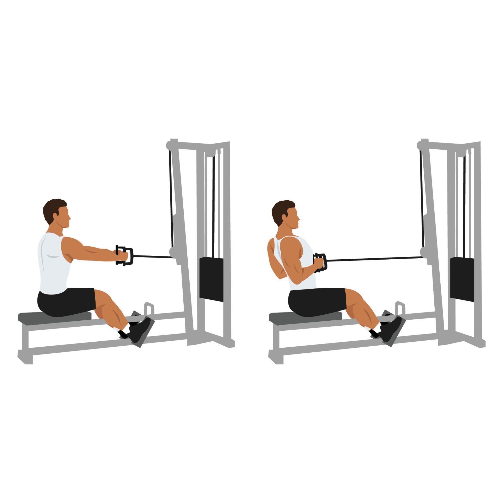 vecteezy_man-doing-seated-low-cable-back-rows-exercise-flat-vector_15708447.jpg
