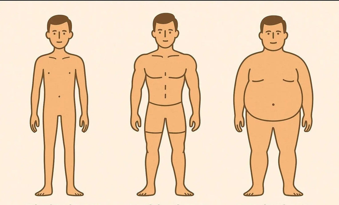 Vilken kropps typ är du? Gör vårt test!