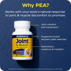 Enzymedica Joint & Muscle Pea Phytosome