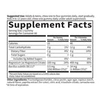 Garden of Life Dr. Formulated Magnesium with Pre & Probiotics Gummies 60 Gummies