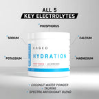 Kaged Muscle Hydration 149 g