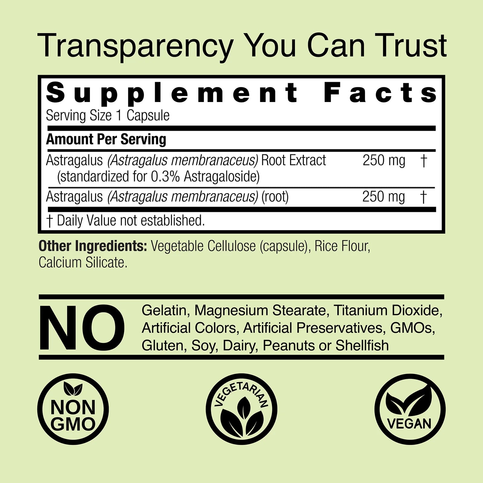 Nature's Answer Astragalus Root 500 mg 90 Kapslar