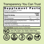 Nature's Answer Dong Quai Root 2000 mg 30 ml