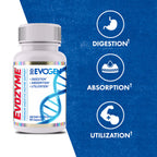 Evogen Evozyme 60 kapslar med etikett och blå funktionsikoner