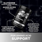 Glutaminburk med svart lock och etikett, MuscleTech Platinum 100% 300 g